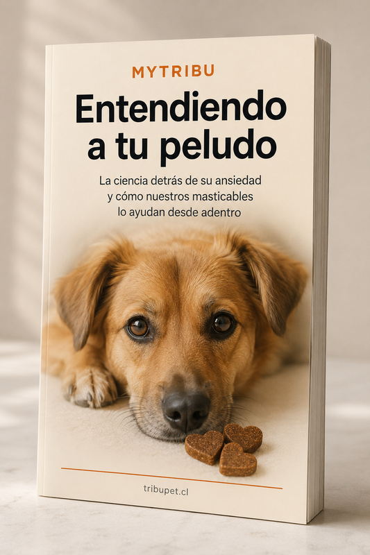 E-Book entendiendo a tu peludo: La ciencia de su ansiedad y como apoyarlo.