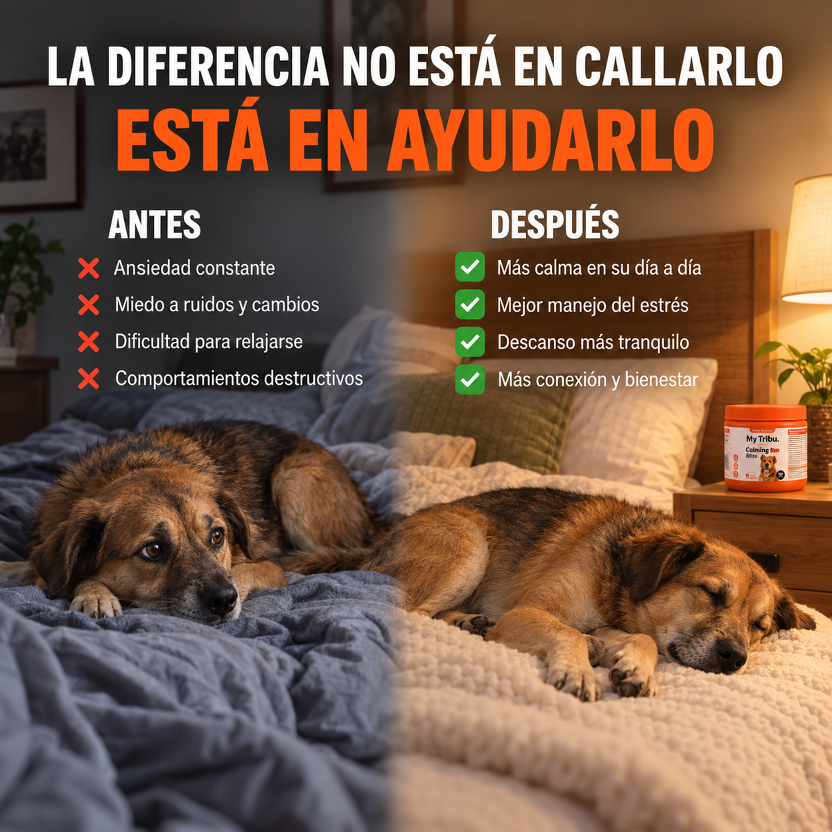 Apoyo de calma perruno en masticables