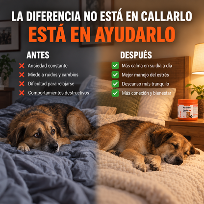 Apoyo de calma perruno en masticables