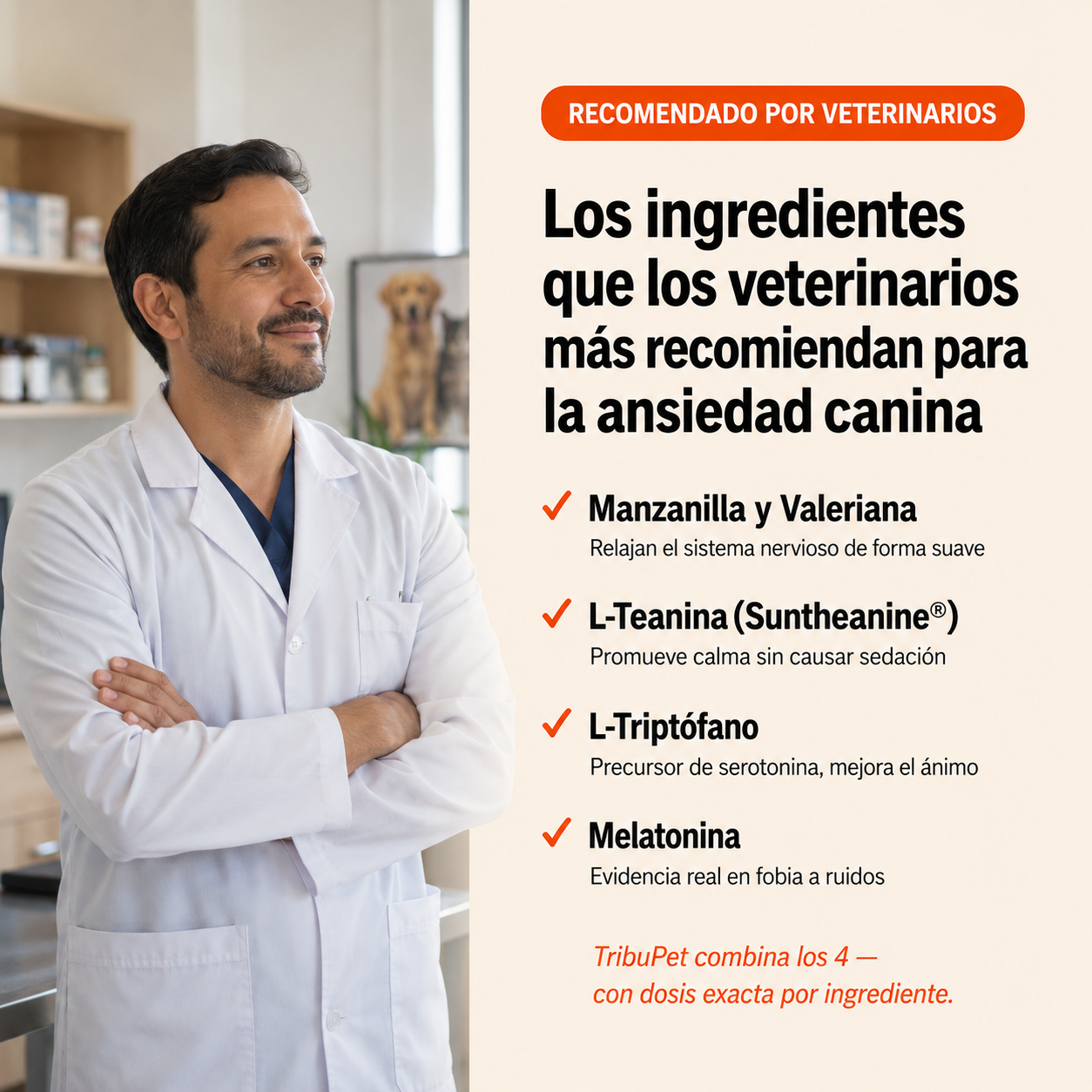 Soporte de calma perruno en masticables