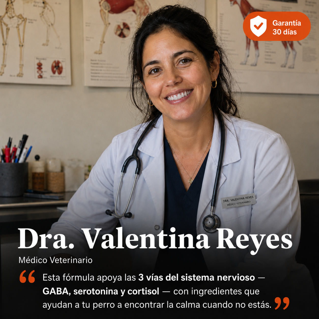 Apoyo de calma perruno en masticables