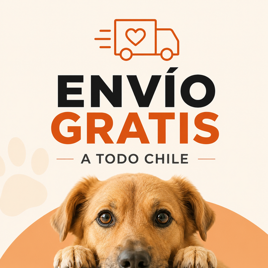 Envío gratis