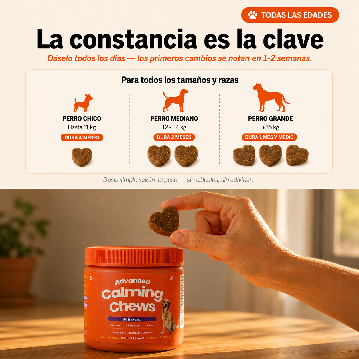 Soporte de calma perruno en masticables