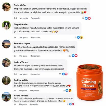 Apoyo de calma perruno en masticables